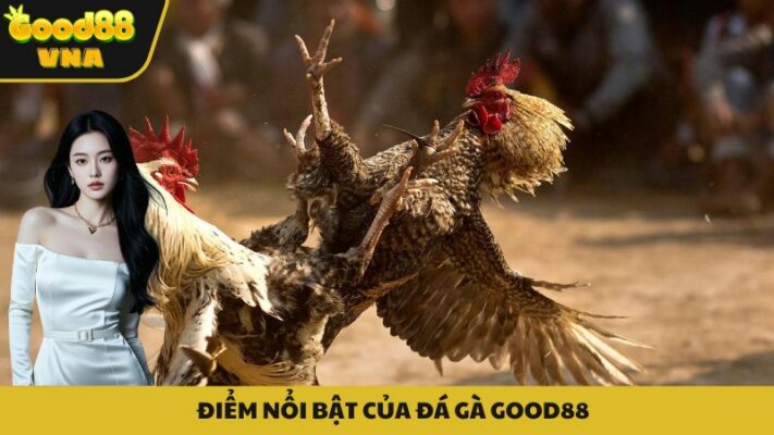 Đá gà Good88 và những điểm nổi bật
